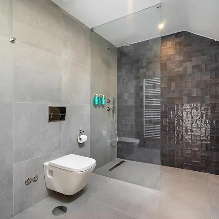 Luxury Old Town Oasis For Family And Friends Porto
